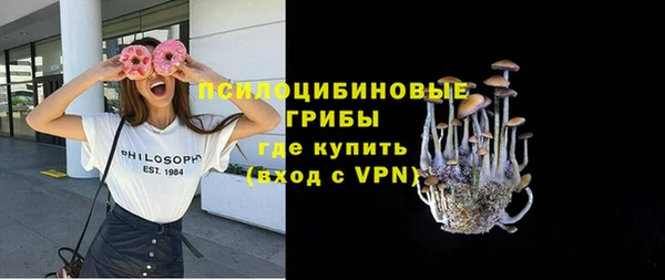 дживик Абинск