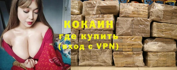 дживик Абинск